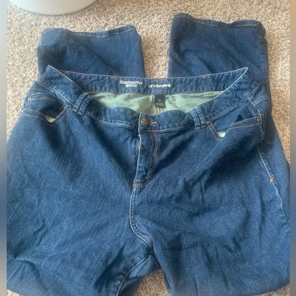 Lane Bryant jeans